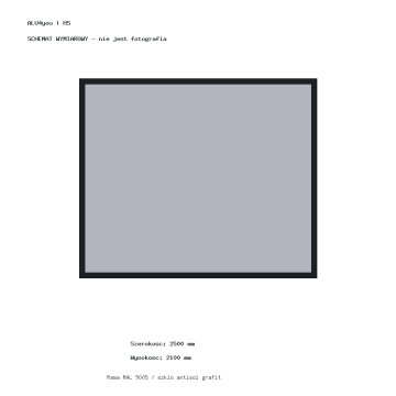 Drzwi przesuwne HS do sauny ogrodowej ALU4you 2500 × 2100 mm – grafit, RAL 9005