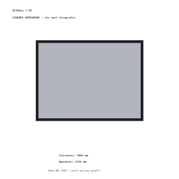 Drzwi przesuwne HS do sauny ogrodowej ALU4you 2800 × 2100 mm – grafit, RAL 9005