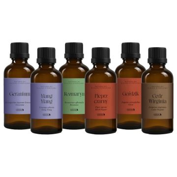 Sada olejů Bassau LOVE AROMA v dřevěném pouzdře, 6x15ml
