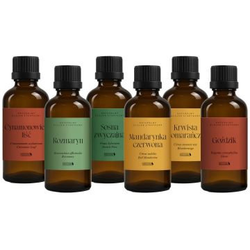 Sada 6 x 15ml vánočních aromatických olejů Bassau
