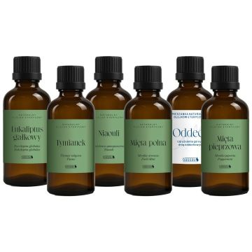 Sada olejů Bassau PURE AROMA v dřevěném pouzdře, 6x15ml