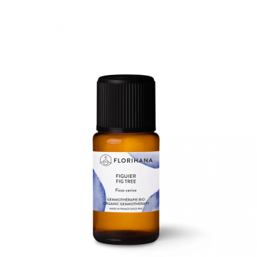 Organický extrakt z fíkovníku Florihana (Gemmotrapia Ficus carica) 15 ml