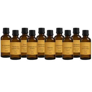 Sada olejů Bassau CITRUS AROMA v dřevěném pouzdře, 10x15ml