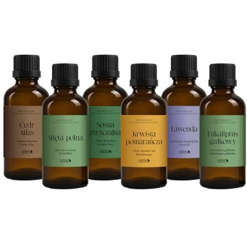 Sada esenciálních olejů Bassau CLASSIC AROMA v dřevěném pouzdře 6x15ml